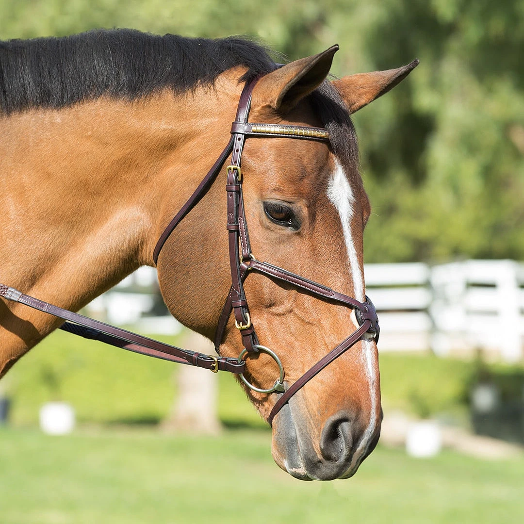 Best Sale 🥰 Nunn Finer Padded Figure 8 Noseband With Interchangeable Button Pieces English Bridles 🧨 7 Nunn Finer Padded Figure 8 Noseband With Interchangeable Button Pieces English Bridles