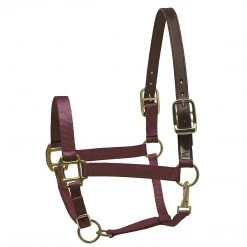 Deals ✨ Perri's Leather Perri's Premium Nylon Safety Halter Halters & Leads 💯 22 Perri's Leather Perri's Premium Nylon Safety Halter Halters & Leads