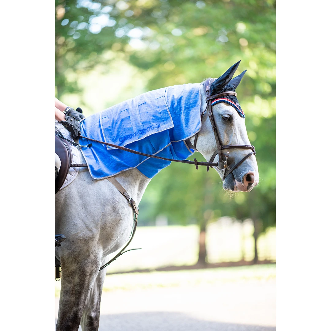Hot Sale 😉 EquiSources Carry-Cool Sport Horse Cooling Kit 🎉 4 EquiSources Carry-Cool Sport Horse Cooling Kit