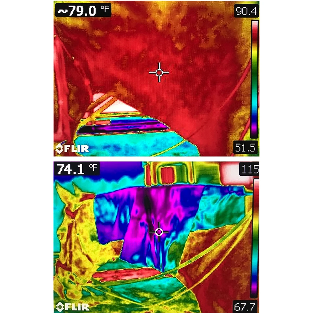 Hot Sale 😉 EquiSources Carry-Cool Sport Horse Cooling Kit 🎉 6 EquiSources Carry-Cool Sport Horse Cooling Kit