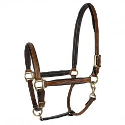 JPC Equestrian Lettia Padded Leather Halter Halters & Leads