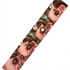 Grooming Dimples Horse Treats - 3lb