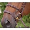 Sagmae English Bridles Dyon Double Noseband - D Collection