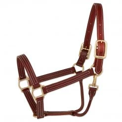Walsh British Halter Halters & Leads
