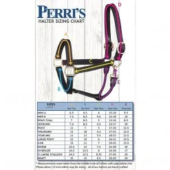 Perri's Leather Turnout Halter Halters & Leads