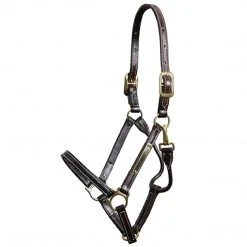 Walsh Showman Halter
