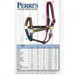 Deals ✨ Perri's Leather Perri's Premium Nylon Safety Halter Halters & Leads 💯 35 Perri's Leather Perri's Premium Nylon Safety Halter Halters & Leads