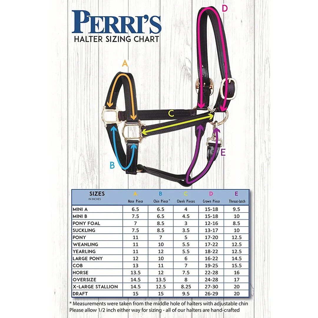 Deals ✨ Perri's Leather Perri's Premium Nylon Safety Halter Halters & Leads 💯 19 Perri's Leather Perri's Premium Nylon Safety Halter Halters & Leads