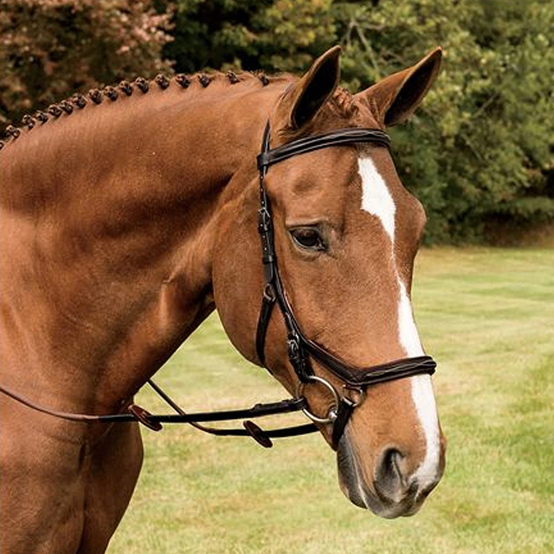 Coupon ๐ Horseware English Bridles Rambo Micklem Deluxe Competition Bridle โจ 8 Horseware English Bridles Rambo Micklem Deluxe Competition Bridle