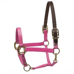 Deals ✨ Perri's Leather Perri's Premium Nylon Safety Halter Halters & Leads 💯 23 Perri's Leather Perri's Premium Nylon Safety Halter Halters & Leads