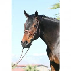 English Bridles Huntley Equestrian Sedgwick Leather Fancy Stitched Bridle