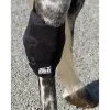 Ice Horse Hock Wrap