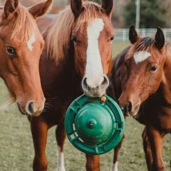 KVP International, Inc. 12