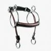 Equine Industries Horse Bits Trust Leather Curb Gag Bit
