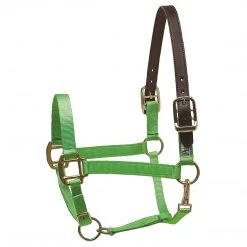 Deals ✨ Perri's Leather Perri's Premium Nylon Safety Halter Halters & Leads 💯 25 Perri's Leather Perri's Premium Nylon Safety Halter Halters & Leads