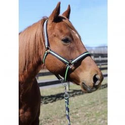 JPC Equestrian Tuffrider Nylon Breakaway Halter And Lead