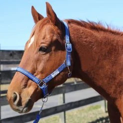 JPC Equestrian Tuffrider Nylon Breakaway Halter And Lead