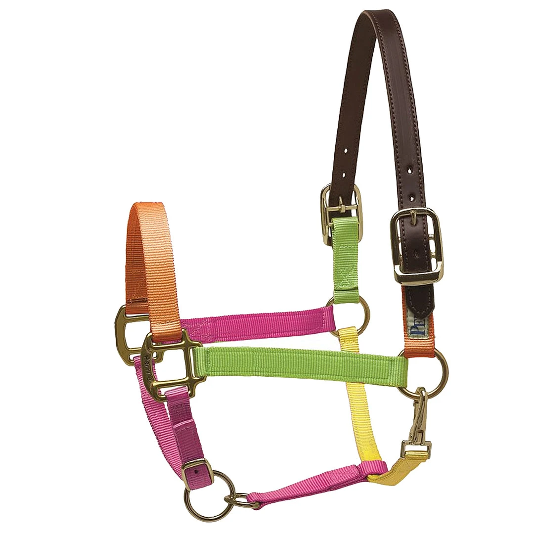 Deals ✨ Perri's Leather Perri's Premium Nylon Safety Halter Halters & Leads 💯 11 Perri's Leather Perri's Premium Nylon Safety Halter Halters & Leads