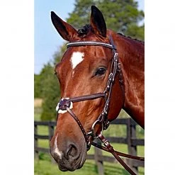 Best Pirce ✨ English Bridles Nunn Finer Figure Eight Bridle ❤️ 13 English Bridles Nunn Finer Figure Eight Bridle