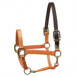 Deals ✨ Perri's Leather Perri's Premium Nylon Safety Halter Halters & Leads 💯 29 Perri's Leather Perri's Premium Nylon Safety Halter Halters & Leads