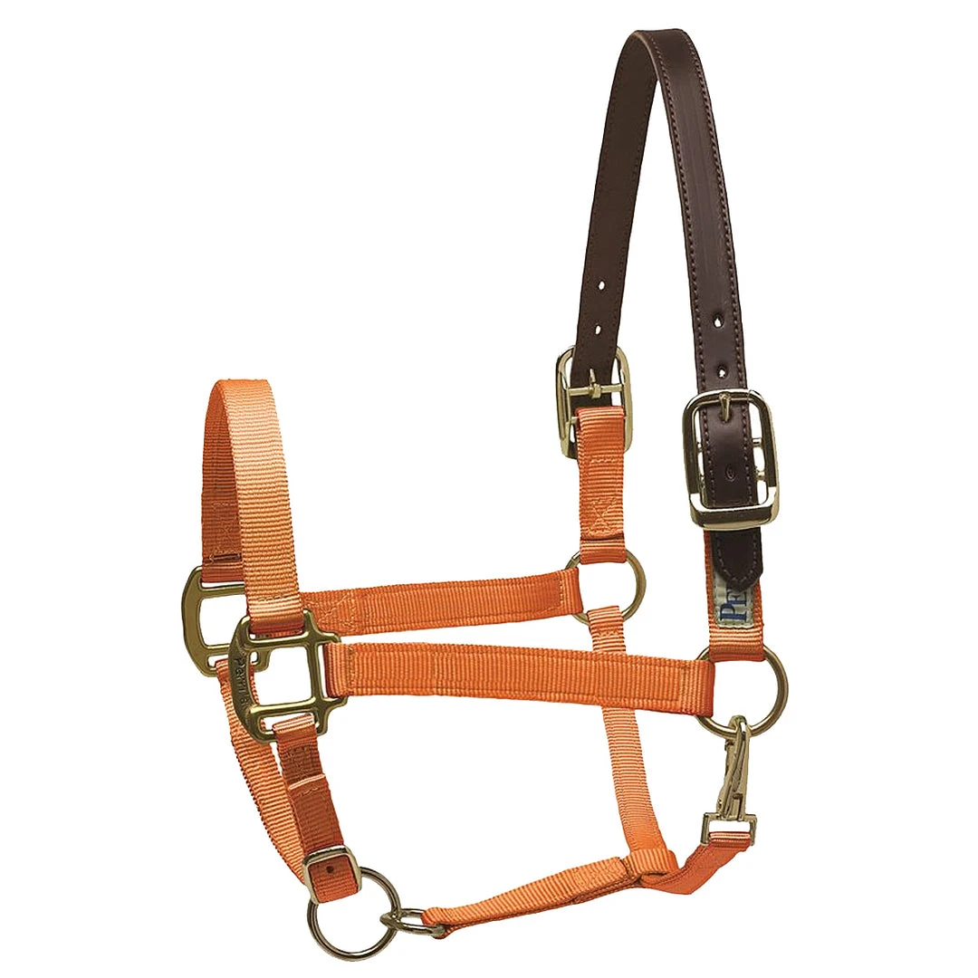 Deals ✨ Perri's Leather Perri's Premium Nylon Safety Halter Halters & Leads 💯 13 Perri's Leather Perri's Premium Nylon Safety Halter Halters & Leads