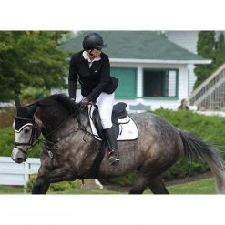 Best deal 🌟 Ogilvy Equestrian Ogilvy Jumper Baby Pad - Custom Saddle Pads & Fittings 😀 36 Ogilvy Equestrian Ogilvy Jumper Baby Pad - Custom Saddle Pads & Fittings