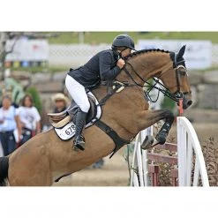 Best deal 🌟 Ogilvy Equestrian Ogilvy Jumper Baby Pad - Custom Saddle Pads & Fittings 😀 38 Ogilvy Equestrian Ogilvy Jumper Baby Pad - Custom Saddle Pads & Fittings