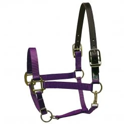 Deals ✨ Perri's Leather Perri's Premium Nylon Safety Halter Halters & Leads 💯 30 Perri's Leather Perri's Premium Nylon Safety Halter Halters & Leads