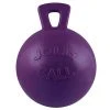 Jacks Mfg Jolly Ball With 10" Handle