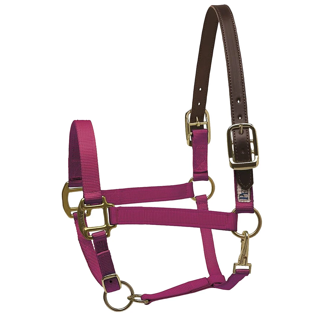 Deals ✨ Perri's Leather Perri's Premium Nylon Safety Halter Halters & Leads 💯 4 Perri's Leather Perri's Premium Nylon Safety Halter Halters & Leads