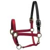 Deals ✨ Perri's Leather Perri's Premium Nylon Safety Halter Halters & Leads 💯 1 Perri's Leather Perri's Premium Nylon Safety Halter Halters & Leads
