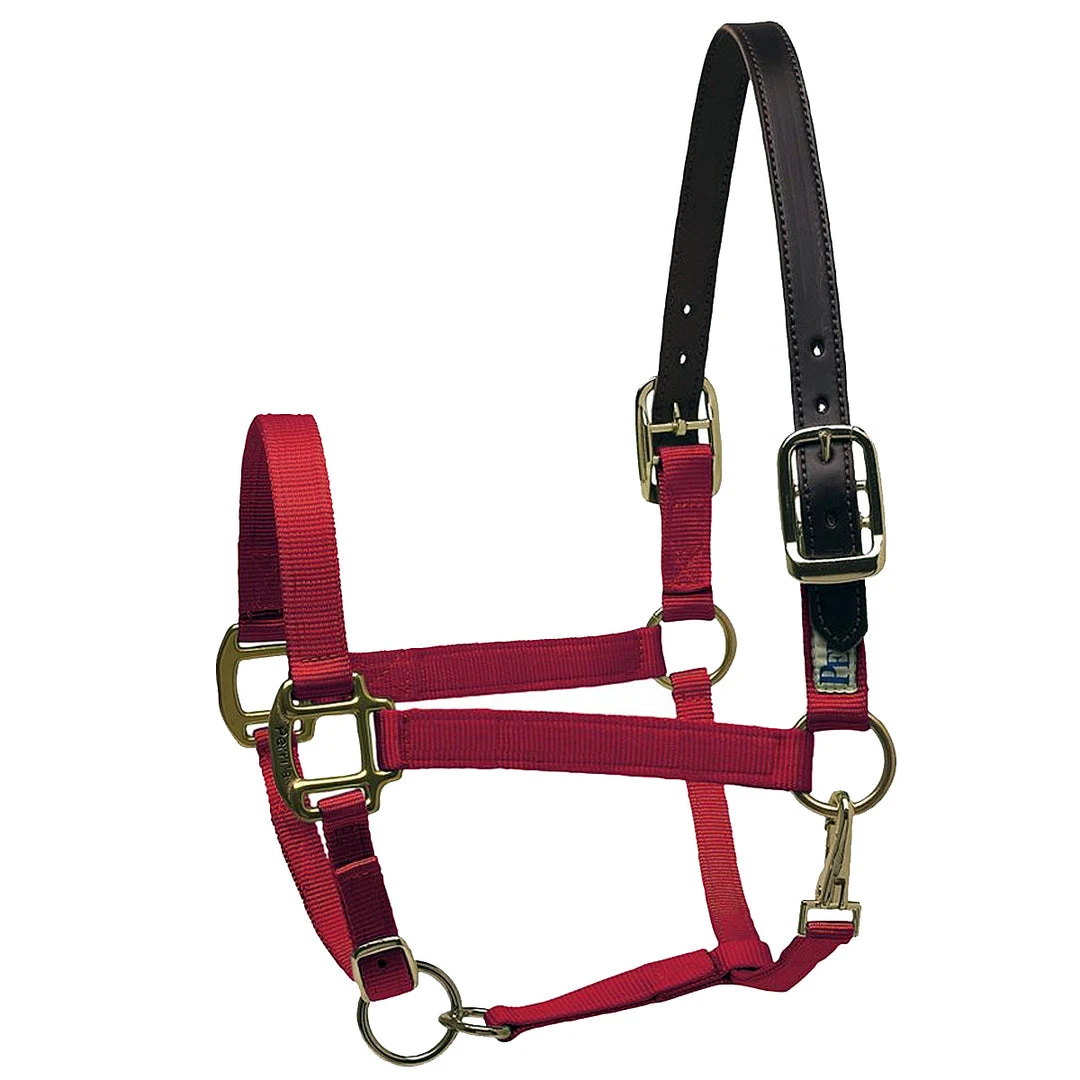 Deals ✨ Perri's Leather Perri's Premium Nylon Safety Halter Halters & Leads 💯 3 Perri's Leather Perri's Premium Nylon Safety Halter Halters & Leads
