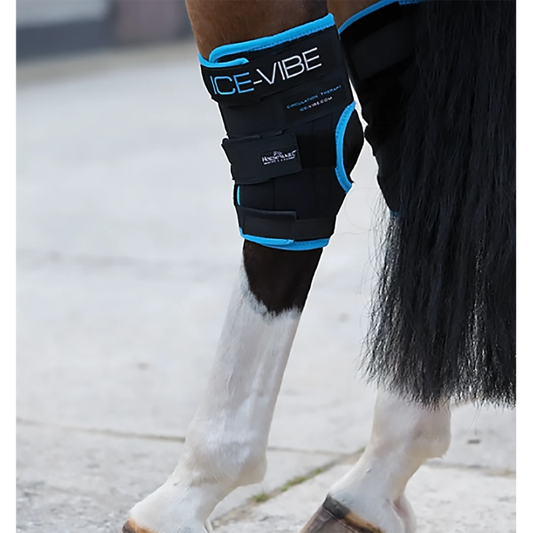 Top 10 🔔 Ice-Vibe Hock Wrap By Horseware Therapeutic Horse 🔥 Boots & Wraps ❤️ 3 Ice-Vibe Hock Wrap By Horseware Therapeutic Horse Boots & Wraps