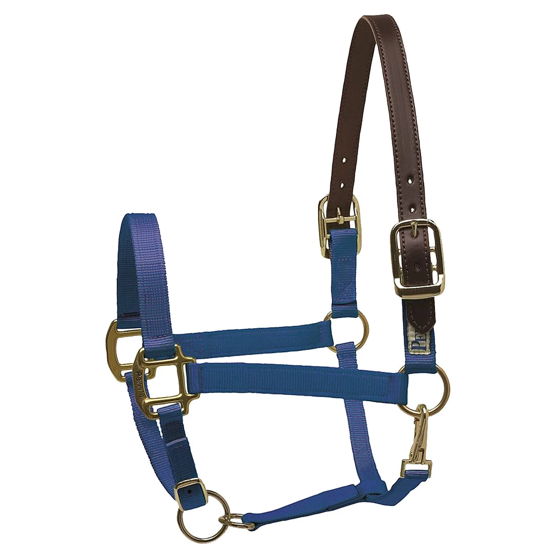 Deals ✨ Perri's Leather Perri's Premium Nylon Safety Halter Halters & Leads 💯 15 Perri's Leather Perri's Premium Nylon Safety Halter Halters & Leads