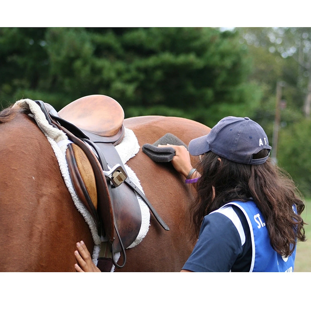 Outlet ⭐ Grooming Nunn Finer Scrub Rub ✔️ 9 Grooming Nunn Finer Scrub Rub