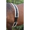 Shires Equestrian Products Fleece Padded Nylon Lunging Surcingle