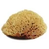 Jacks Mfg Natural Body Sponge Large Grooming