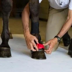 ThinLine Gatorbootz Bell Boot Horse Boots & Wraps