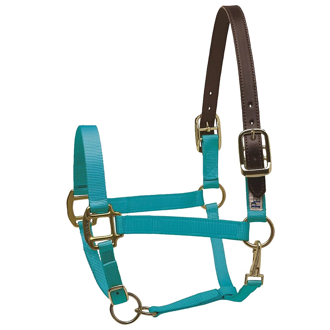 Deals ✨ Perri's Leather Perri's Premium Nylon Safety Halter Halters & Leads 💯 16 Perri's Leather Perri's Premium Nylon Safety Halter Halters & Leads