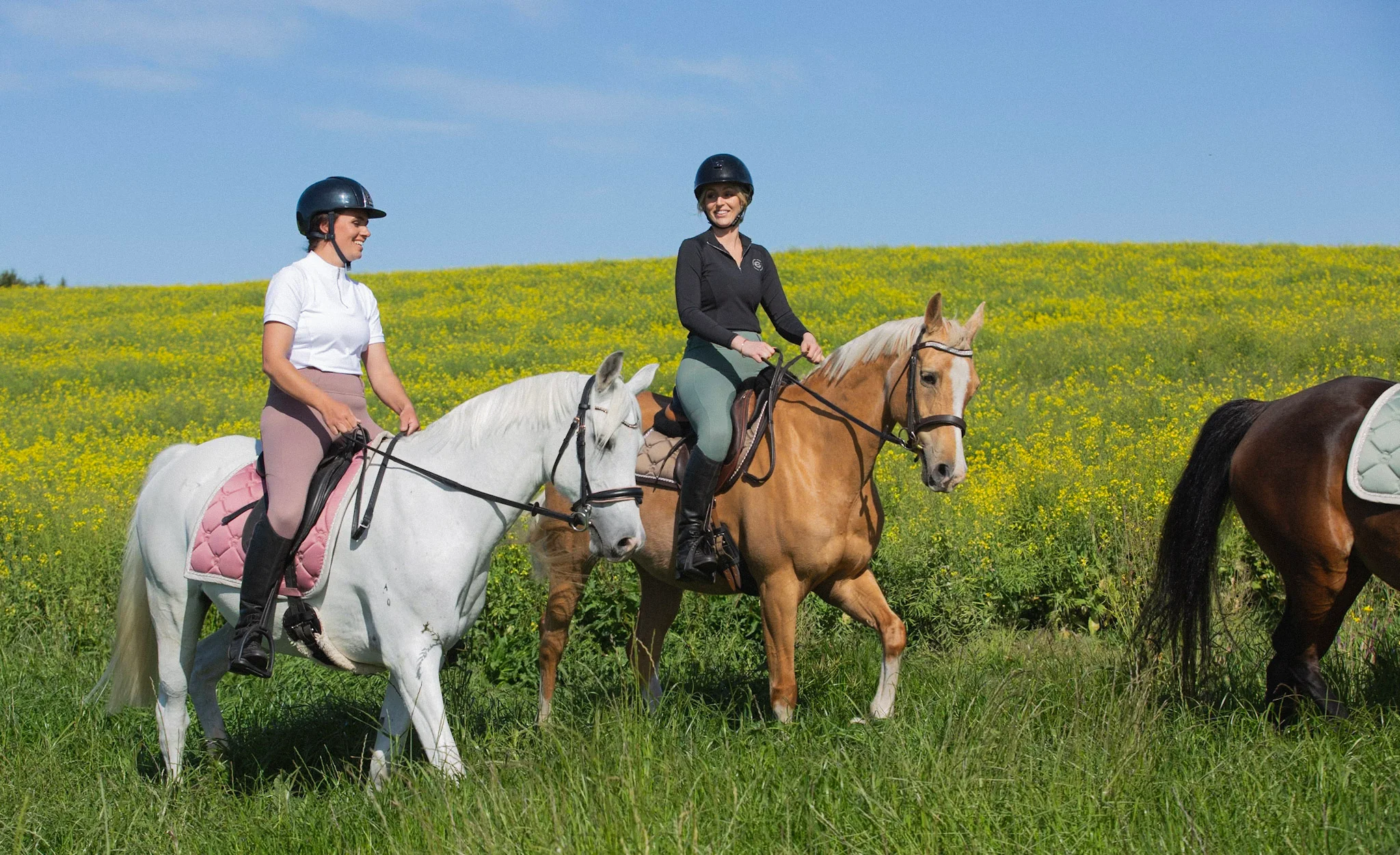 Farm House Tack Sales -Farm House Tack Sales 5D3 7868